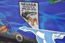 blue_wildlife