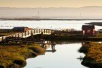 Urban Wildlife Refuge Initiative
